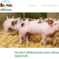 Neue Website ist online